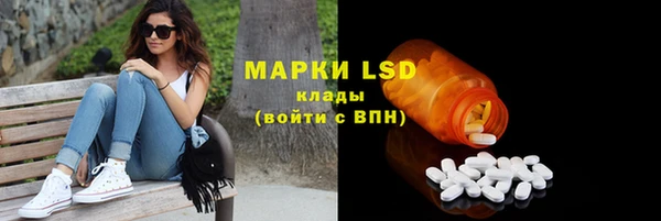 гидра Алзамай
