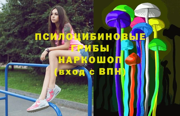 гидра Алзамай