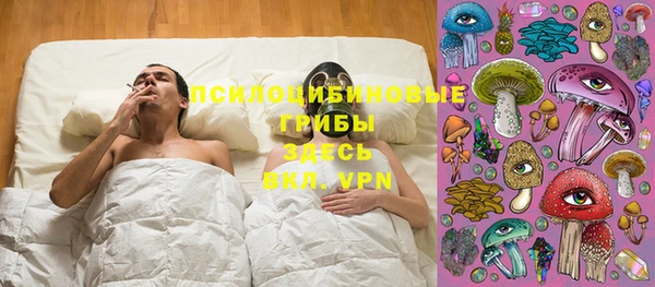 стаф Алексеевка