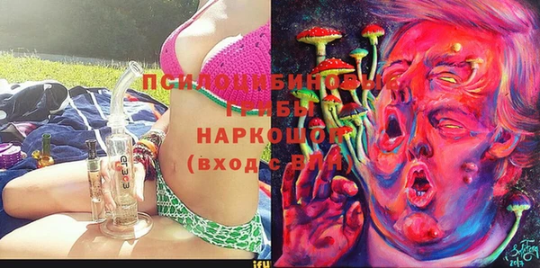 гидра Алзамай